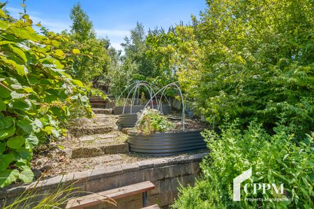 405 Liverpool Street, West Hobart TAS 7000 - Terrace For Rent | Domain - Photo 2