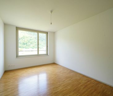 4.5 Zimmer, 117 m², 1. Stock - Photo 2