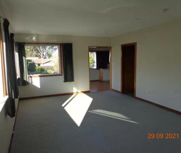 213 Hoon Hay Road, 8025, Hoon Hay - Photo 2