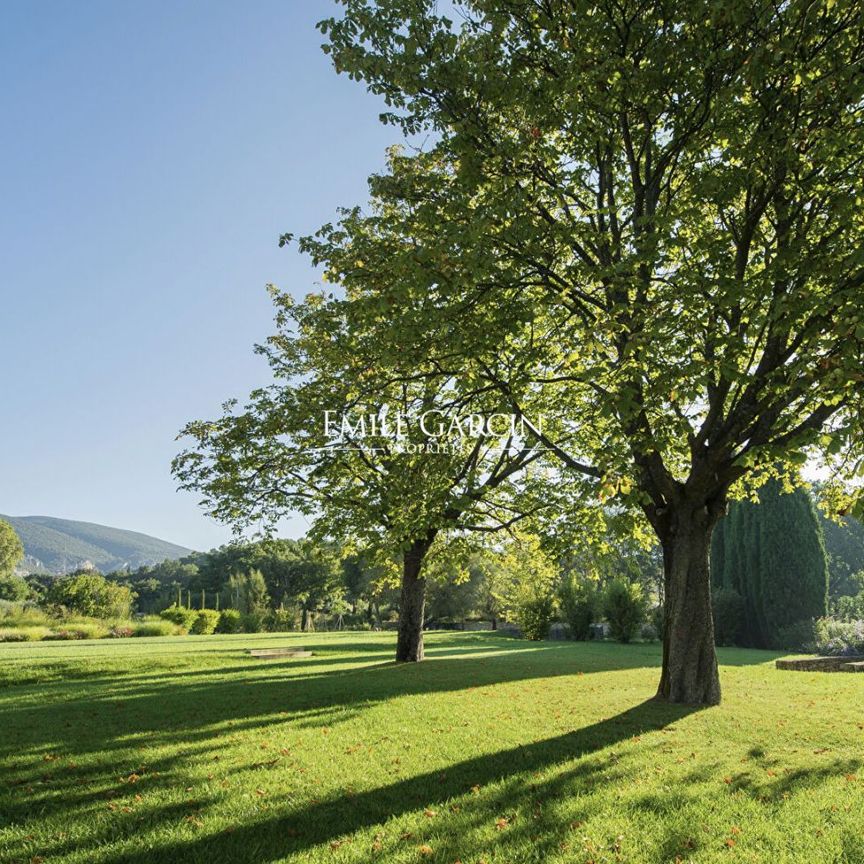 Bastide à louer dans le Luberon Sud au calme absolu, accès au village à pied - Photo 1