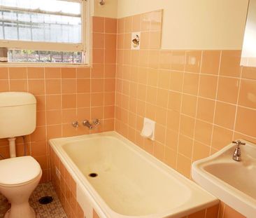 Sun-Filled One Bedroom Apartment in Prime Location - Photo 3