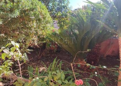 Monteverde Vecchio-Terrace: Furnished 2 Bedroom, 2 Bath, spacious kitchen, living, large private terrace and garden. Bright, silent, near shops, services and transport, located on a quite street in a well kept building. Possible parking. Ref 2375