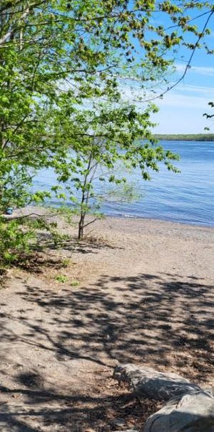 Studio 1.5 semi-meublé pour 1e avril - Photo 1