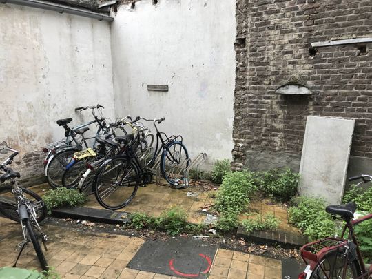 Te huur: Kamer Wilhelminasingel in Maastricht - Photo 1