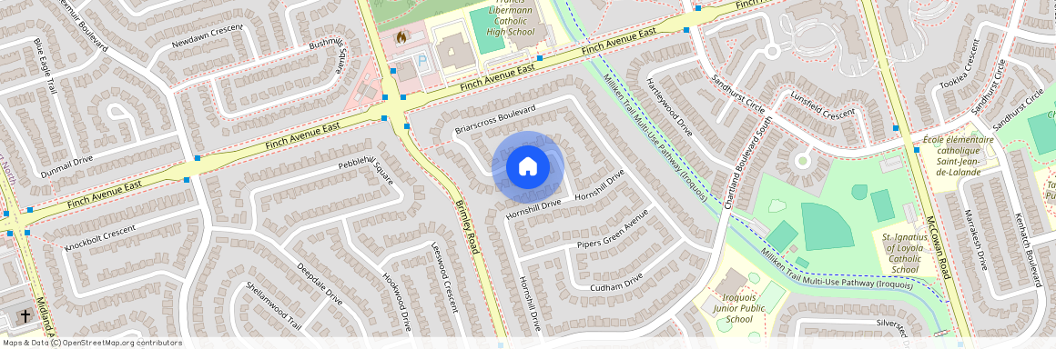 123 Briarscross Boulevard #Main, Toronto, Agincourt North