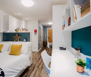 Standard Studio - Photo 1