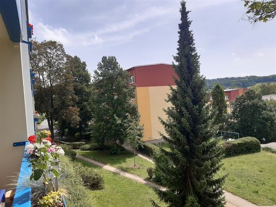 Tolle 3-Raumwohnung in ruhiger Lage - Foto 1