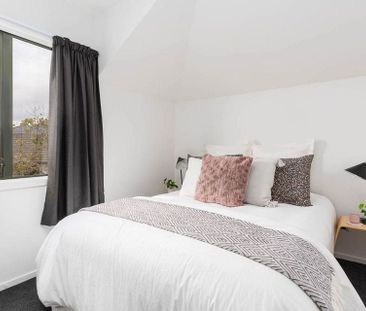 3BR 2.5 bath room Home in Churton Park - Photo 2