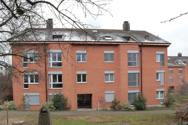 Sanierte familienfreundliche Wohnung in Dornach - Photo 1