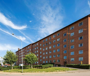 Kurirgatan 8 C - Photo 4