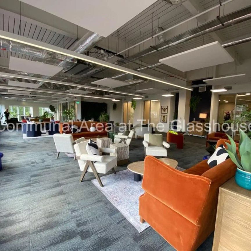 Bronze Studio Plus - Photo 1