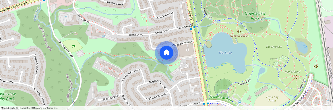 6 Jennifer Court Unit# Basement, Toronto