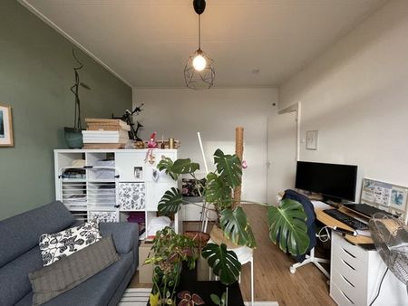 Te huur: Appartement Berkelsingel in Zutphen - Foto 4