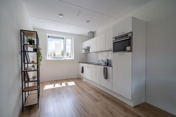 Te huur: Huis Zwartekolk in Wapenveld - Photo 1