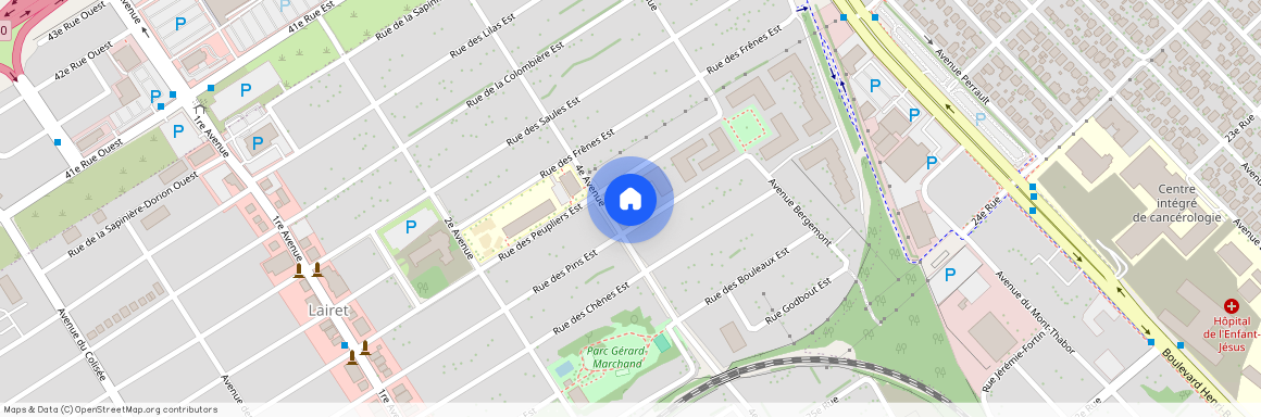 445 Rue des Pins Est, Québec, Québec, Capitale-Nationale, G1L 1S6