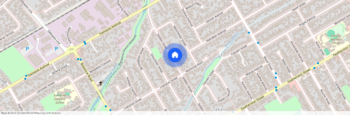 35 Seddon Street, Takaro, Palmerston North City