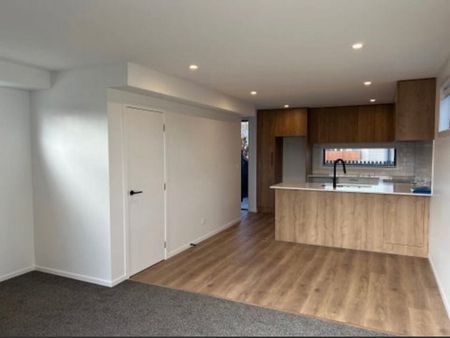 **Beautiful Modern 2BR Townhouse in Dunedin** - Photo 4