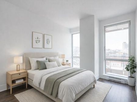 360 Rue Atateken, Montréal (Ville-Marie), QC H2L - Photo 4