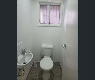 Freshly Painted 3 bedroom - Photo 5