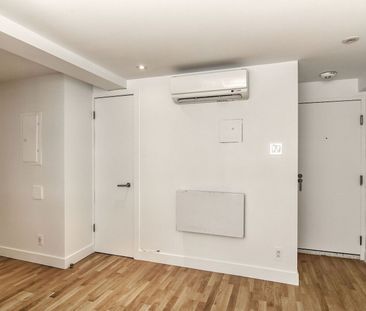 25 Avenue des Pins O, Montréal, QC - Photo 4