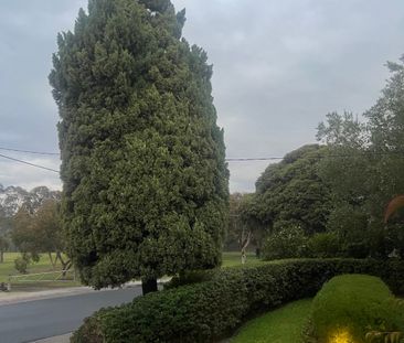 Coburg North - Photo 4