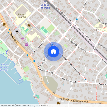 Av. des Baumes 8, 1814, La Tour-De-Peilz