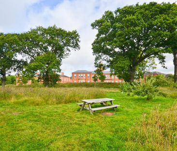 3 bedroom terraced house to rent - Photo 5