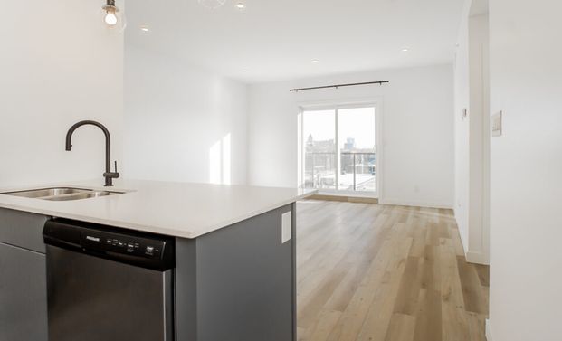 Newcastle: Black Accents – 710 Westminster, Winnipeg, MB - Photo 1