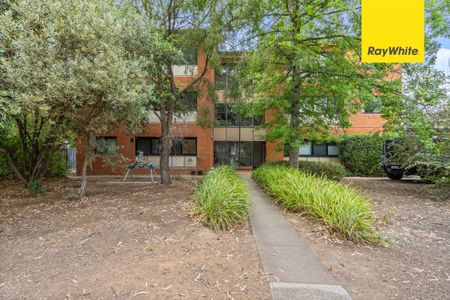 6/28 Frencham Street, Downer ACT 2602 - Apartment For Rent | Domain - Photo 4