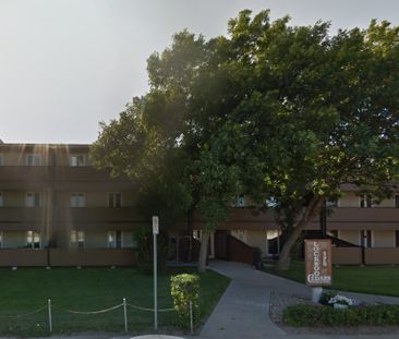 175 & 189 Lockwood Rd Albert Park South - Photo 1