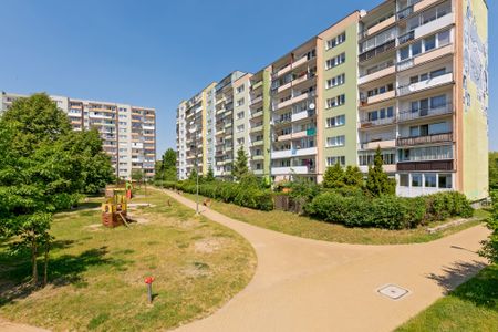 Gdańsk Zaspa - Фото 5