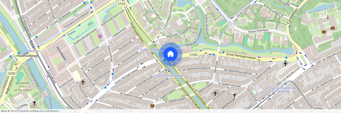 Groot Hertoginnelaan, 'S-Gravenhage