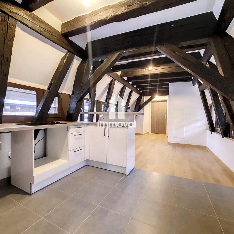 Location Appartement 1 pièce 26m² STRASBOURG 67000 - Photo 1