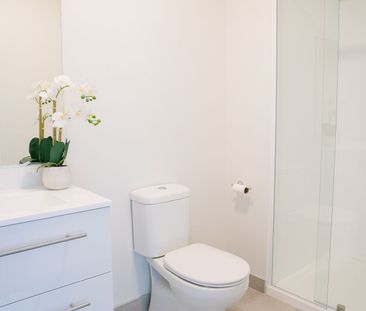 Cute, Light 2 bedroom 2 bathroom Apartment - Photo 2