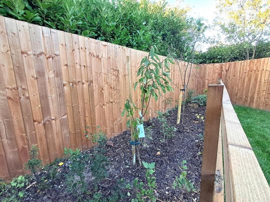 2 bedroom semi-detached house to rent - Photo 1