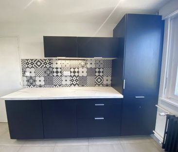 Location Appartement 3 pièces 70m² ST LOUIS 68300 - Photo 6