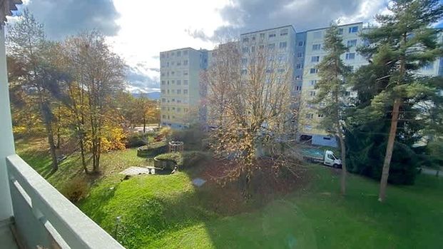 5.5 Zimmer, 110 m², 3. Stock - Photo 1