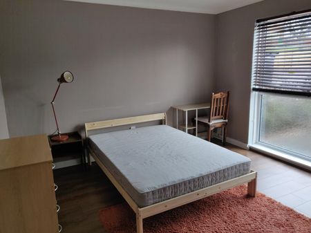 1 bedroom house to rent - Photo 3