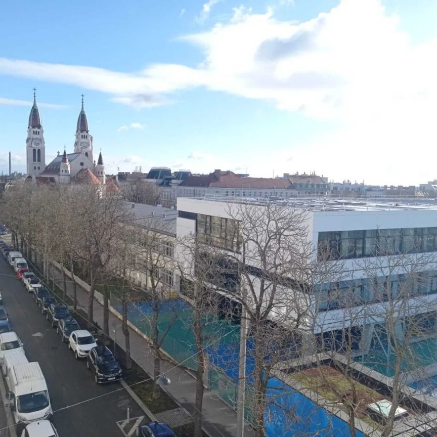 Sehr helle und UNBEFRISTETE - 2 1/2 Zimmerwohnung - in direkter Nähe zur U3 Enkplatz! - Foto 1