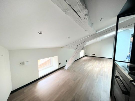 Location Appartement 2 pièces 15m² ROANNE 42300 - Photo 1