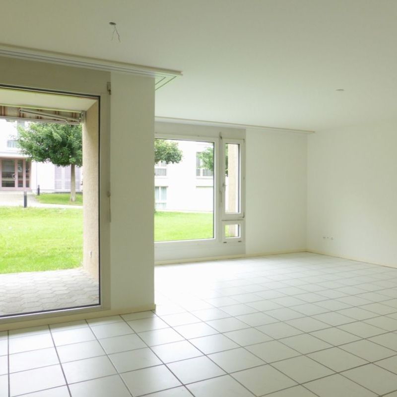 "Moderne, helle Parterrewohnung" - Photo 1