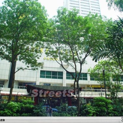 Lucky Plaza (D9), Apartment - For Rent - Photo 1