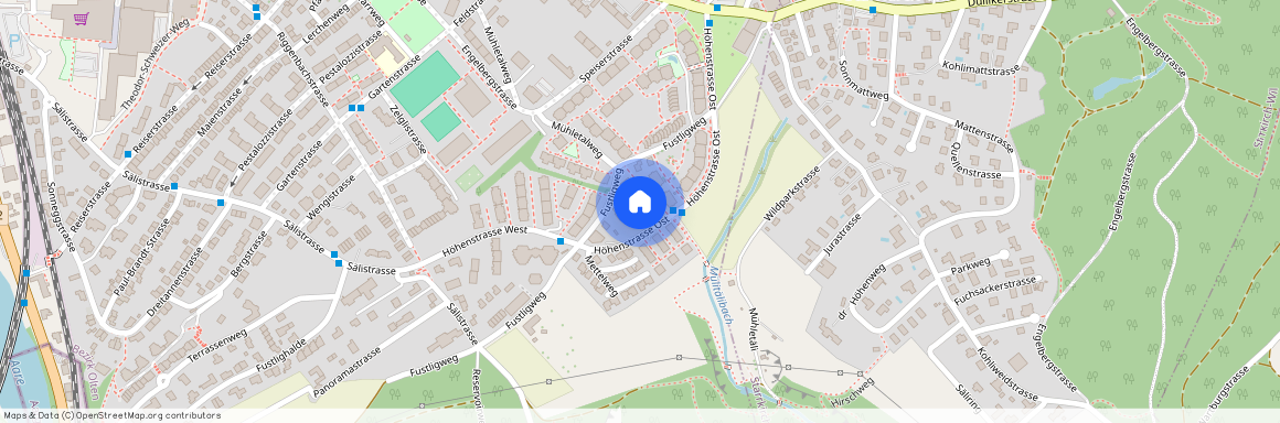 4600, Olten, H?henstrasse Ost 59b