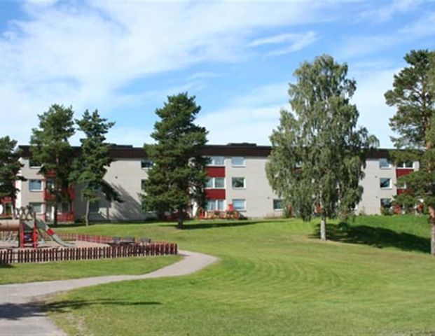 Lilla Trädgårdsgatan 7C - Photo 1