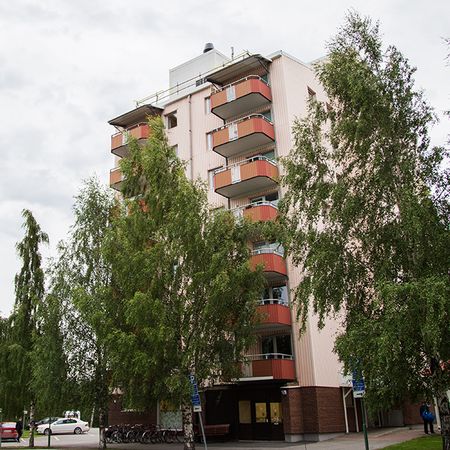 Lasarettsvägen 7, 94150, Piteå - Photo 3