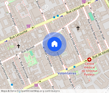 1 chambre, Convention Paris 15e - Photo 1