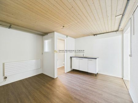 Mixed-use single-family home with commercial facilities and car elevator - Photo 5