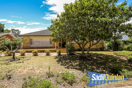 97 Caley Crescent, Narrabundah ACT 2604 - House For Rent - $820 | Domain - Photo 3
