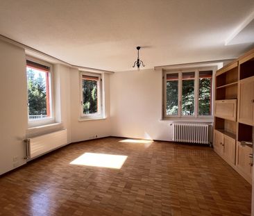 Rent a 2 rooms terrace flat in Rigi-Kaltbad - Photo 3