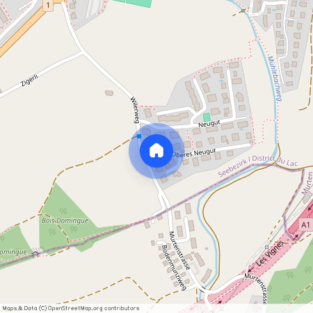 Oberes Neugut 2, 3280 Murten